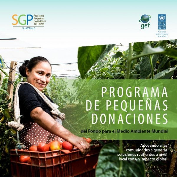 Brochure Informativo -  PPD Guatemala