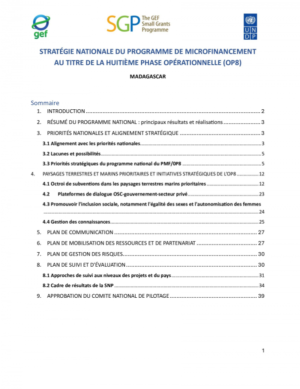 OP8 SGP Madagascar Country Programme Strategy