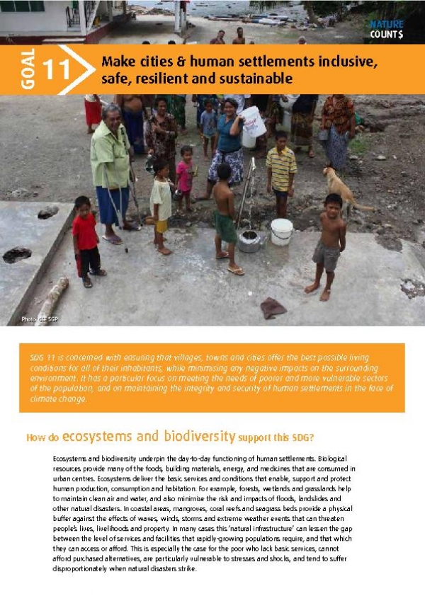 Make cities and human settlements inclusive, safe, resilient and sustainable