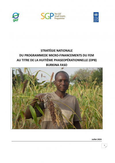 OP8 SGP Burkina Faso Country Programme Strategy