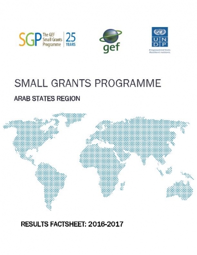 SGP Arab States: Results fact sheet 2016 - 2017