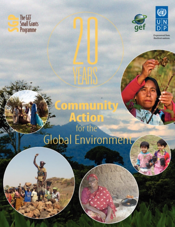 20 YEARS: COMMUNITY ACTION FOR THE GLOBAL ENVIRONMENT
