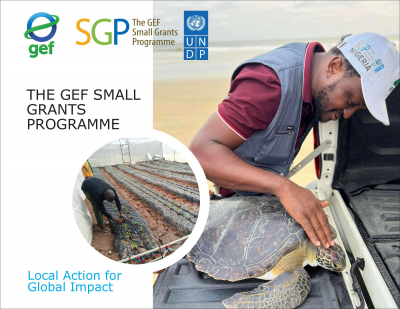 SGP Nigeria  Brochure
