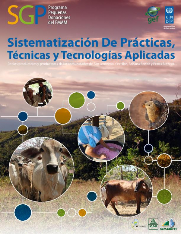 Sistematizaci&oacute;n de Practicas, T&eacute;cnicas y Tecnolog&iacute;as Aplicadas por los Productores y Productoras de las Comunidades de San Jer&oacute;nimo, Cerrillos, Sabana Bonita y Pe&ntilde;as Blancas.