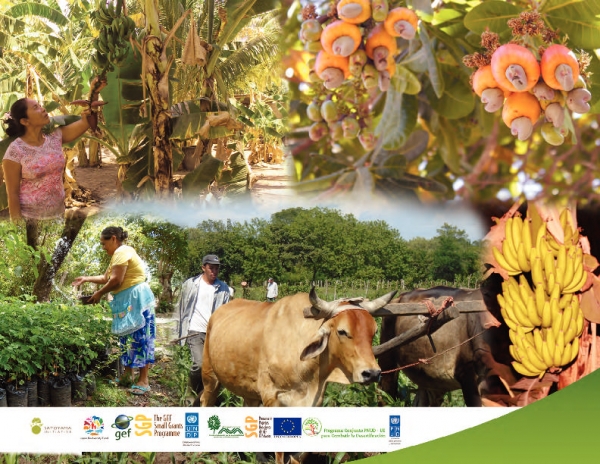 El Salvador - GEF SGP Fair South South Cooperation