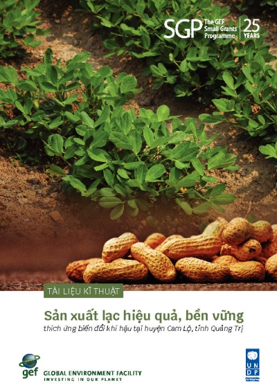 Sustainable and adaptive-to-climate changes groundnut production: A technical manual