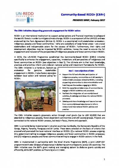 Community-Based REDD+ Progress Report 2017
