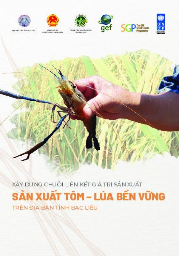 Promoting sustainable value chains in rice-shrimp production in Bae Lieu province.