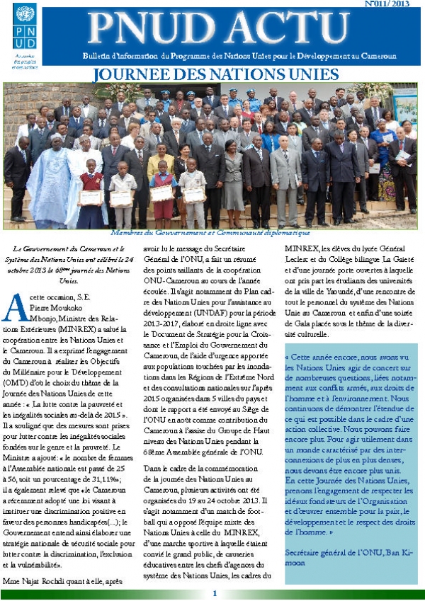 UNDP Cameroon Newsletter Nr. 11 2013