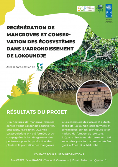 REG&Eacute;N&Eacute;RATION DE MANGROVES ET CONSERVATION DES &Eacute;COSYST&Egrave;MES DANS L&rsquo;ARRONDISSEMENT DE LOKOUNDJE