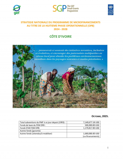 OP8 SGP C&ocirc;te d'Ivoire Country Programme Strategy