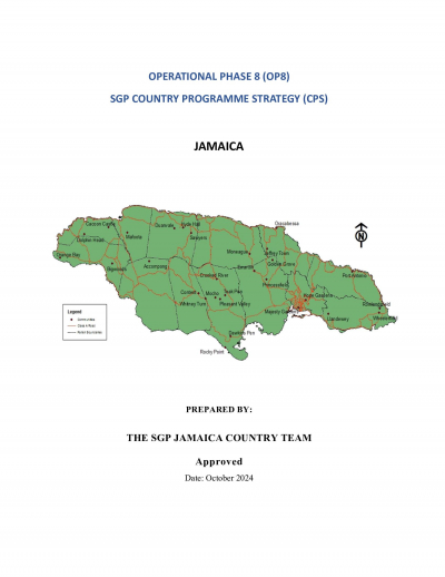 OP8 SGP Jamaica Country Programme Strategy