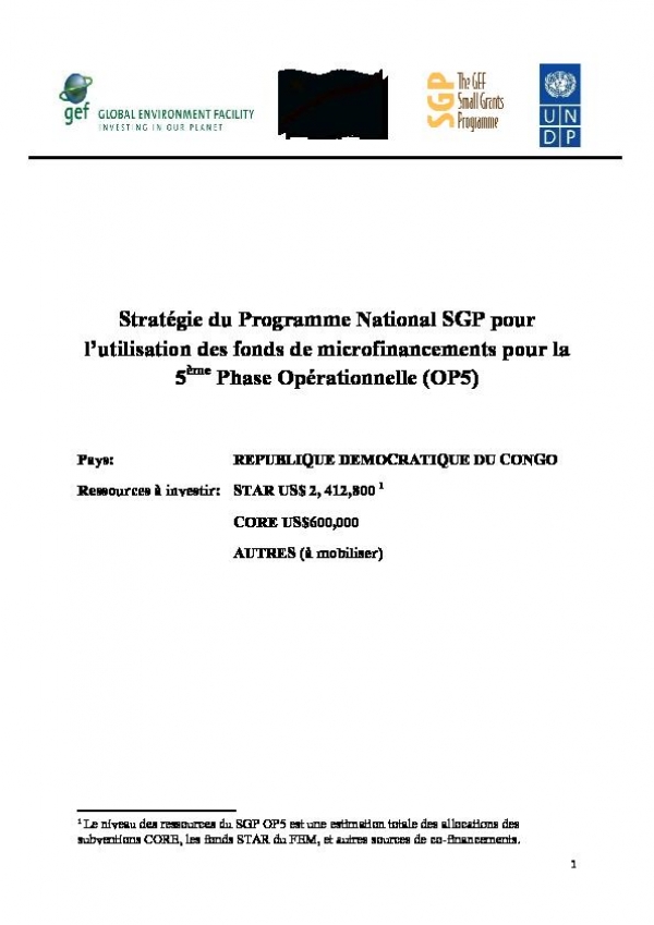OP5 SGP Country Programme Strategy